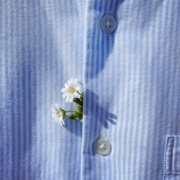 Рубашка Fooji (демо)