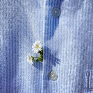 Рубашка Fooji (демо)